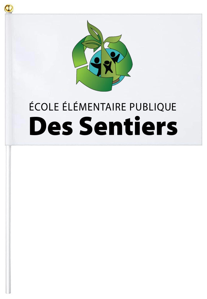 DES - Drapeau esprit école