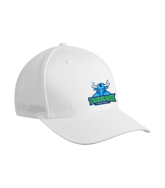 Adult Flexfit Trucker Mesh Cap - Ladybug Designs