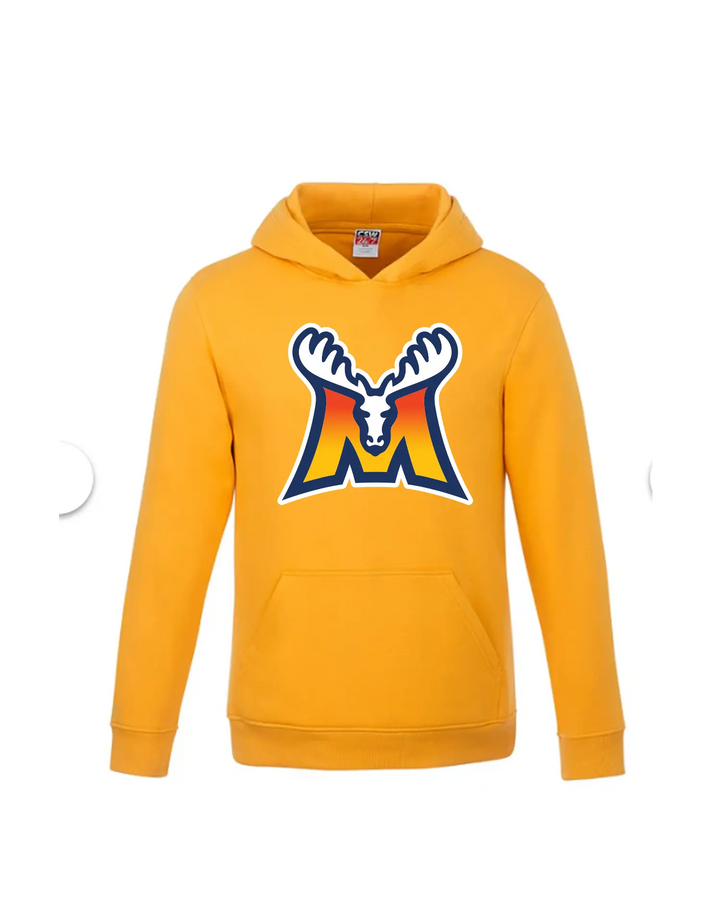 Unisex Fleece Hooded Sweatshirt