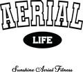 Aerial Life – front artwork